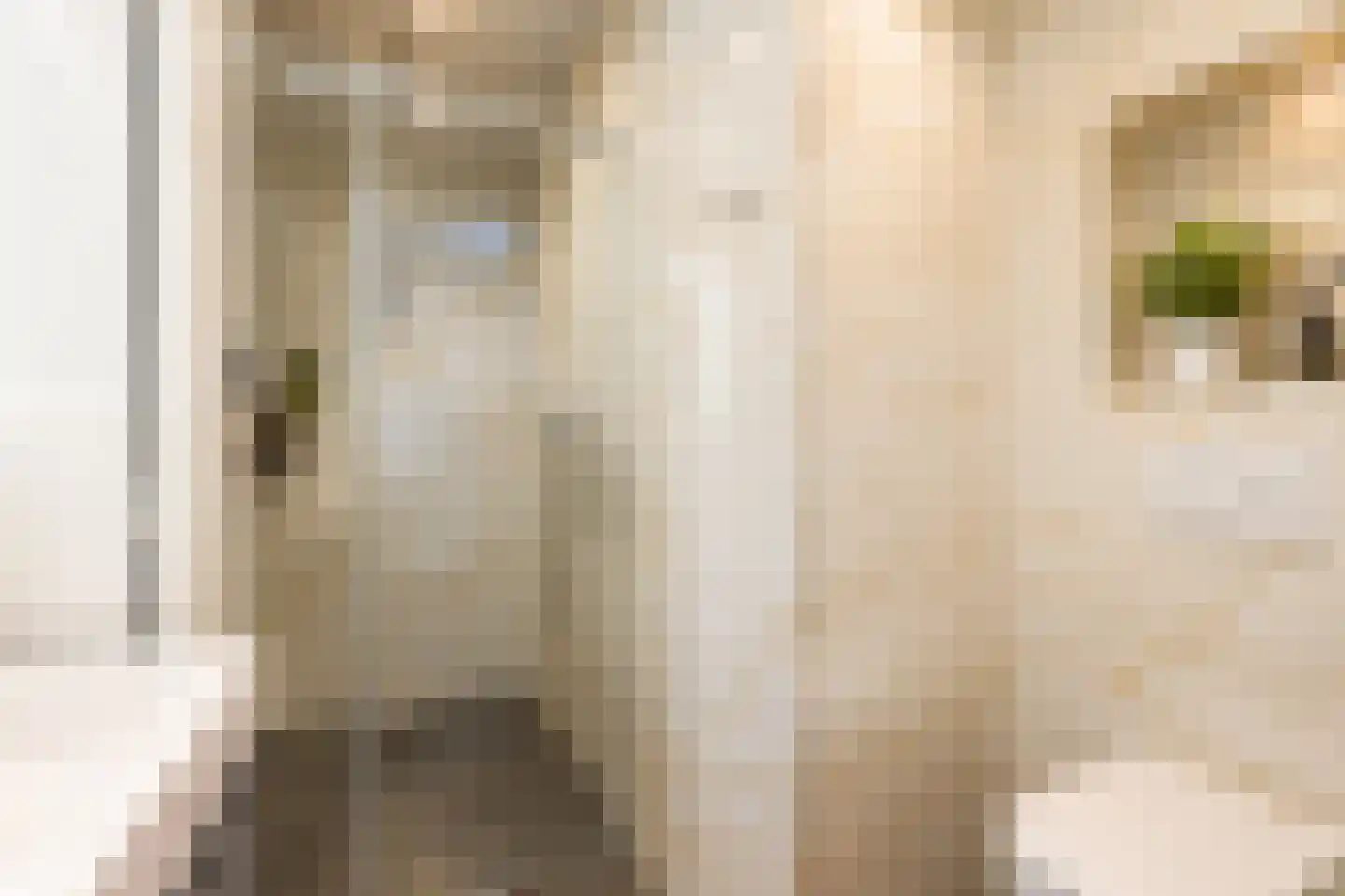 Hendrikus Rempestraat 2 Amsterdam thumbnail 10