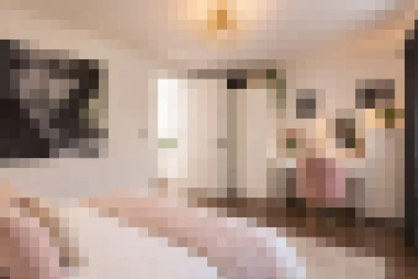 Hendrikus Rempestraat 2 Amsterdam thumbnail 18