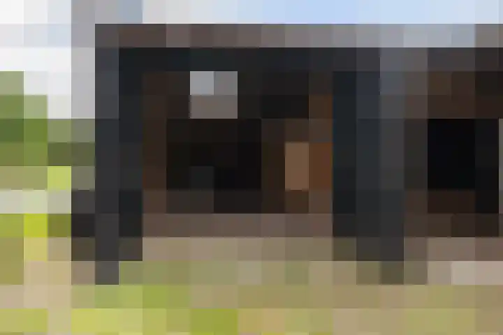 Hendrikus Zomerweg 9 Alteveer gem Hoogeveen thumbnail 30