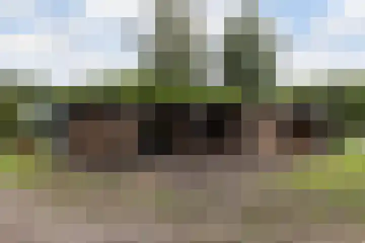 Hendrikus Zomerweg 9 Alteveer gem Hoogeveen thumbnail 31