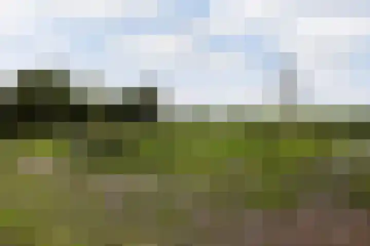 Hendrikus Zomerweg 9 Alteveer gem Hoogeveen thumbnail 32