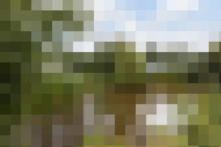 Hendrikus Zomerweg 9 Alteveer gem Hoogeveen thumbnail 33