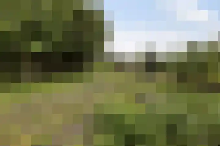 Hendrikus Zomerweg 9 Alteveer gem Hoogeveen thumbnail 35