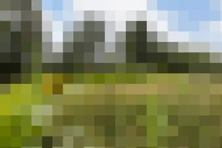 Hendrikus Zomerweg 9 Alteveer gem Hoogeveen thumbnail 36