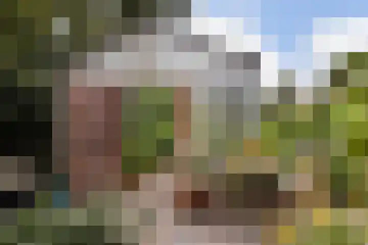 Hendrikus Zomerweg 9 Alteveer gem Hoogeveen thumbnail 37