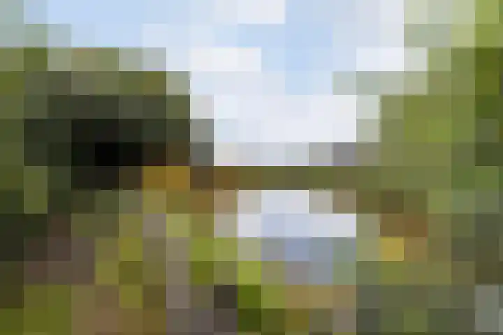 Hendrikus Zomerweg 9 Alteveer gem Hoogeveen thumbnail 38