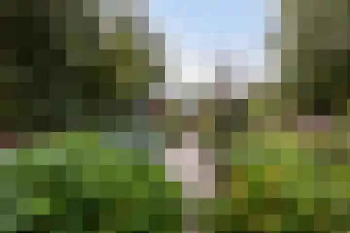 Hendrikus Zomerweg 9 Alteveer gem Hoogeveen thumbnail 39
