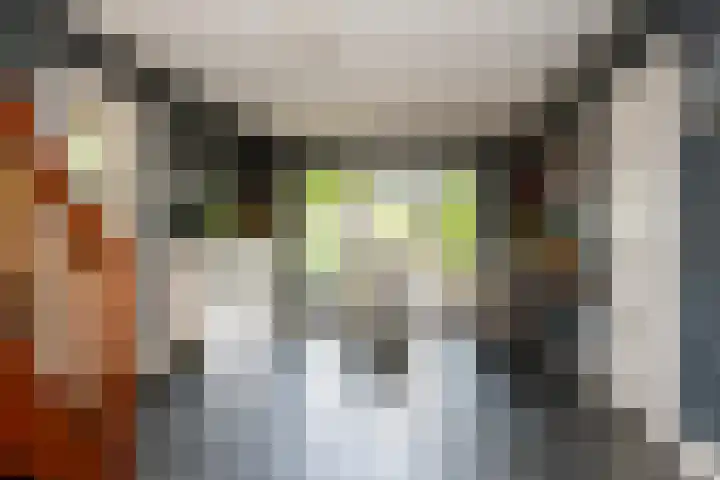 Hendrikus Zomerweg 9 Alteveer gem Hoogeveen thumbnail 4