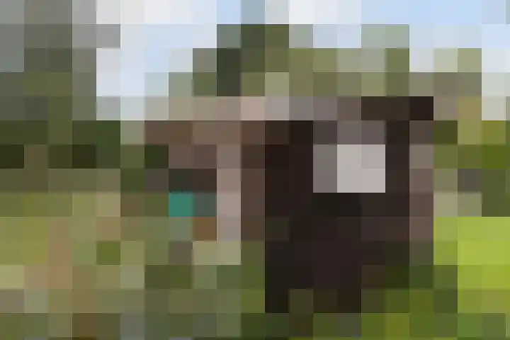 Hendrikus Zomerweg 9 Alteveer gem Hoogeveen thumbnail 41