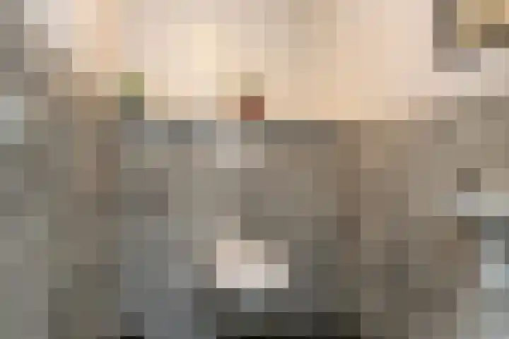 Hendrikus Zomerweg 9 Alteveer gem Hoogeveen thumbnail 6