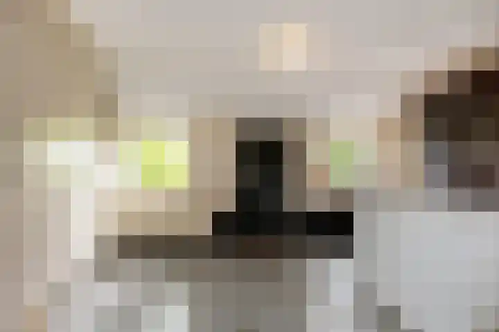 Hendrikus Zomerweg 9 Alteveer gem Hoogeveen thumbnail 7