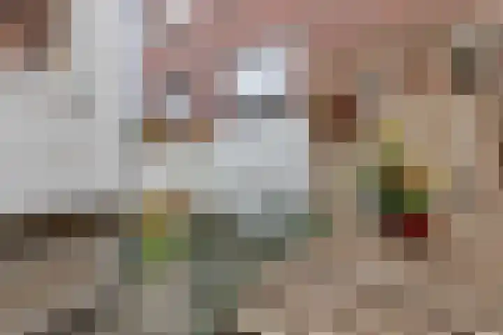 Hendrikxstraat 28 Venlo thumbnail 35