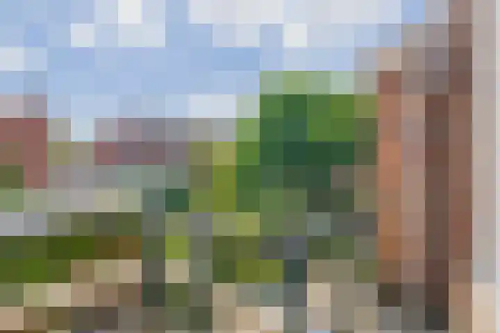 Hendrikxstraat 70 Venlo thumbnail 28