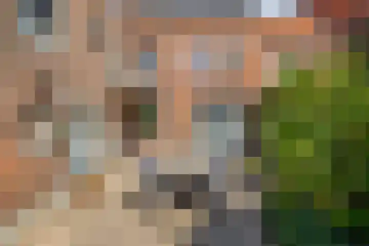Hendrikxstraat 70 Venlo thumbnail 37