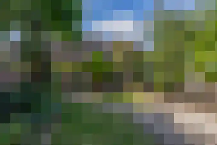 Hendrikxstraat 70 Venlo thumbnail 38