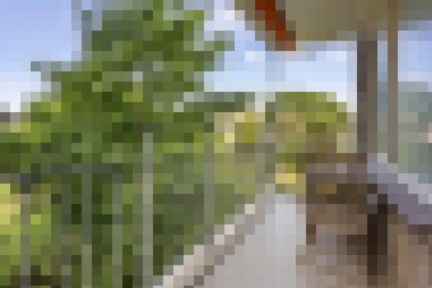 Hendrinaland 132 Den Haag thumbnail 9
