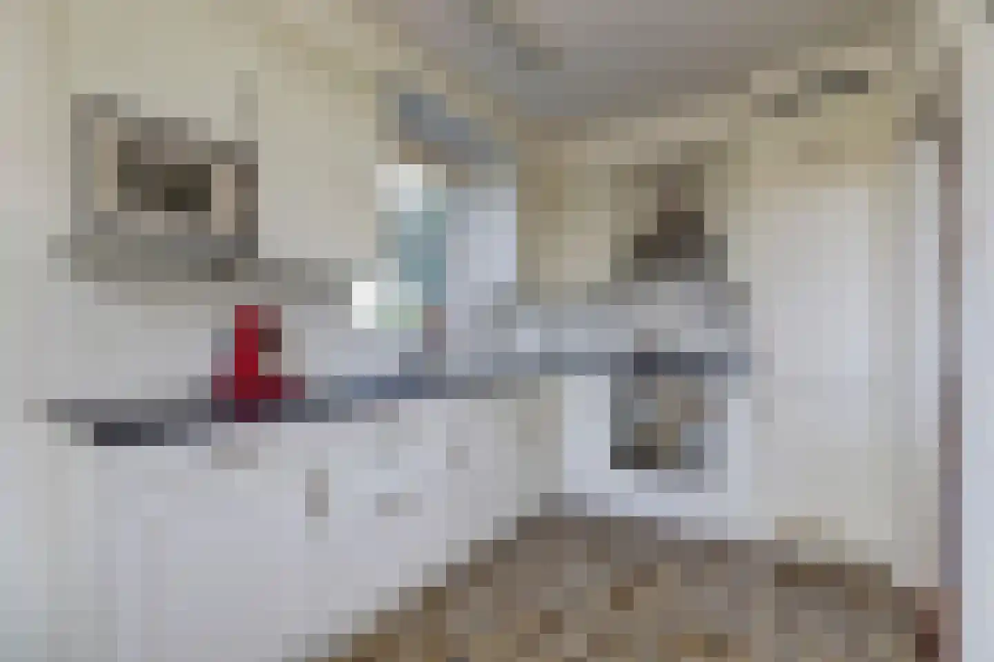 Hendstehof 24 Harlingen thumbnail 12