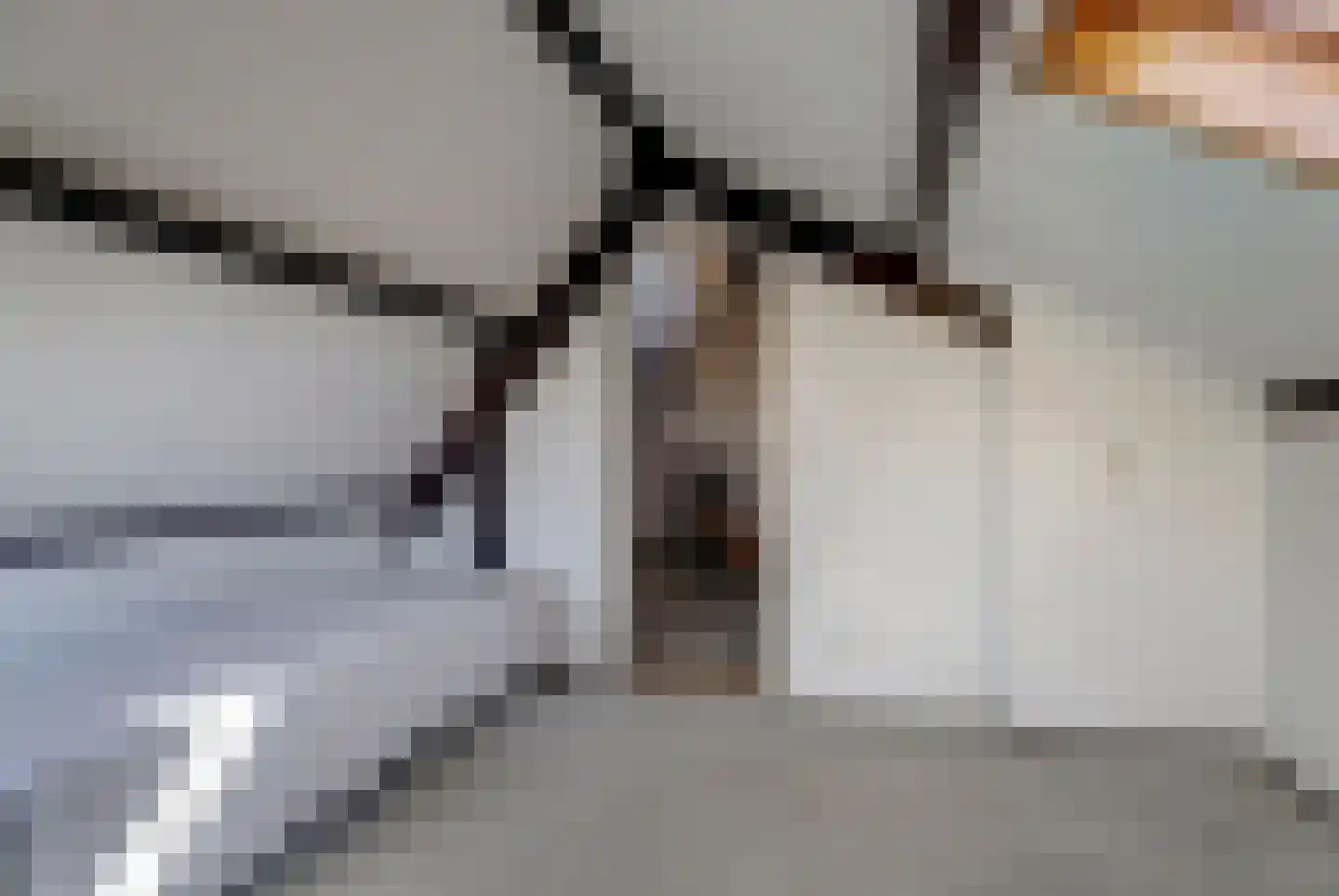 Hendstehof 24 Harlingen thumbnail 25