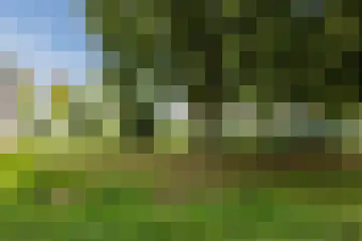 Hendstehof 24 Harlingen thumbnail 28