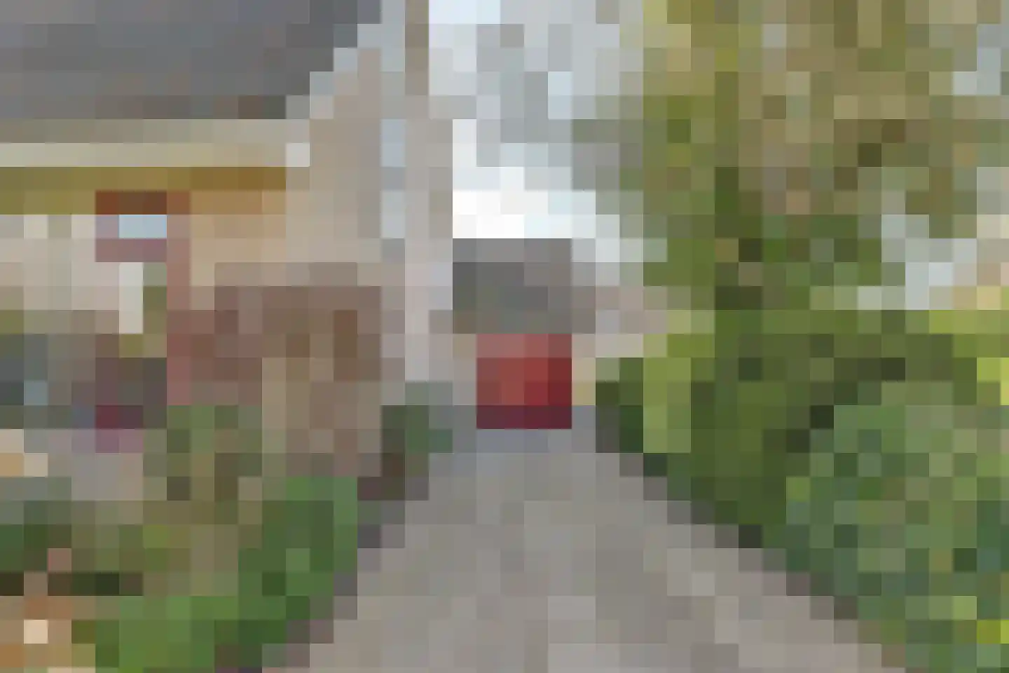 Hendstehof 24 Harlingen thumbnail 35