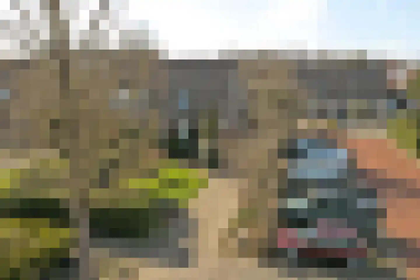 Hendstehof 24 Harlingen thumbnail 37