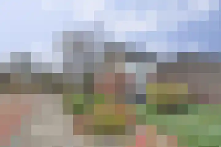 Hendstehof 33 Harlingen thumbnail 33