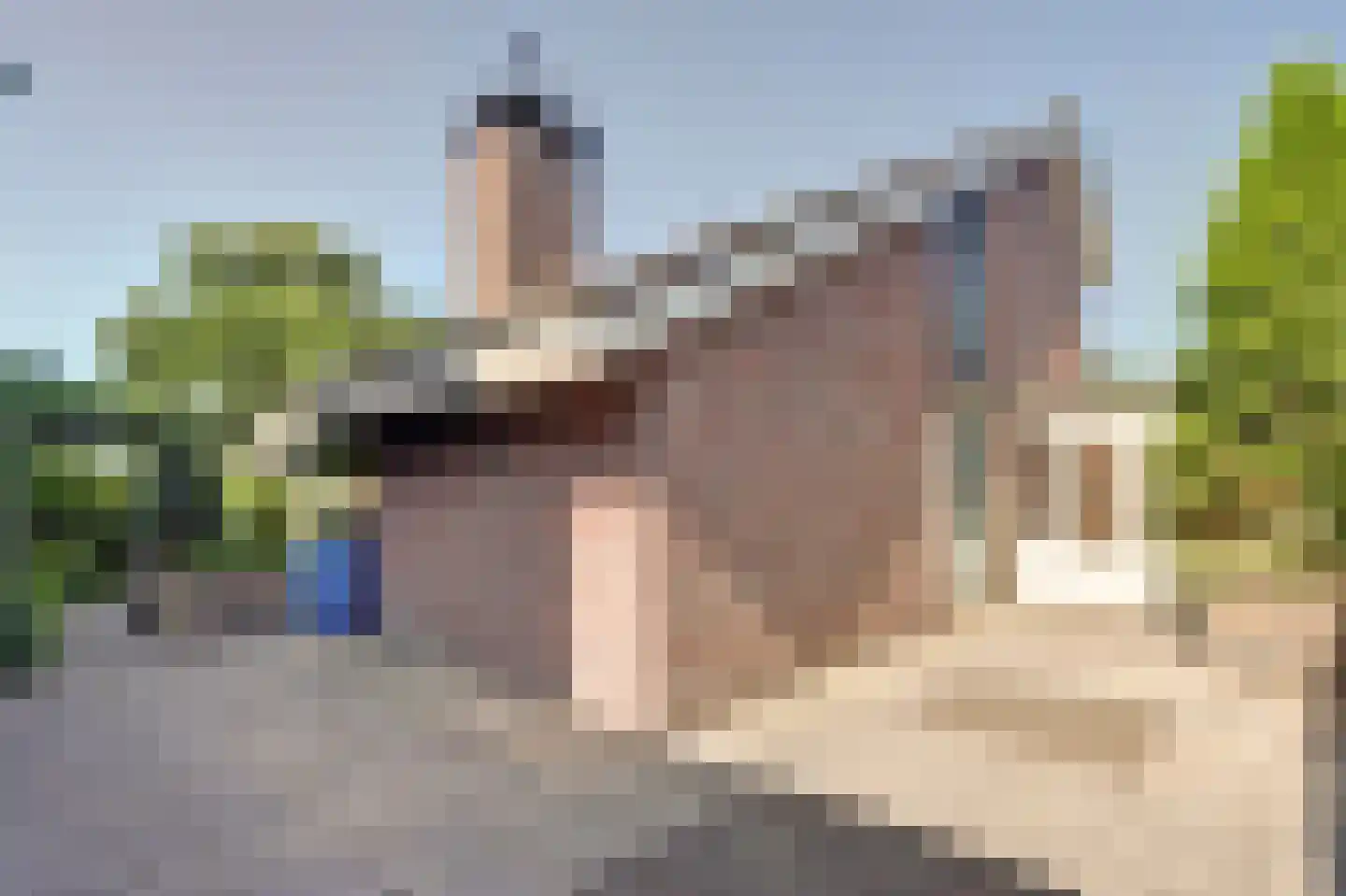Henegouwen 107 Zwijndrecht thumbnail 40