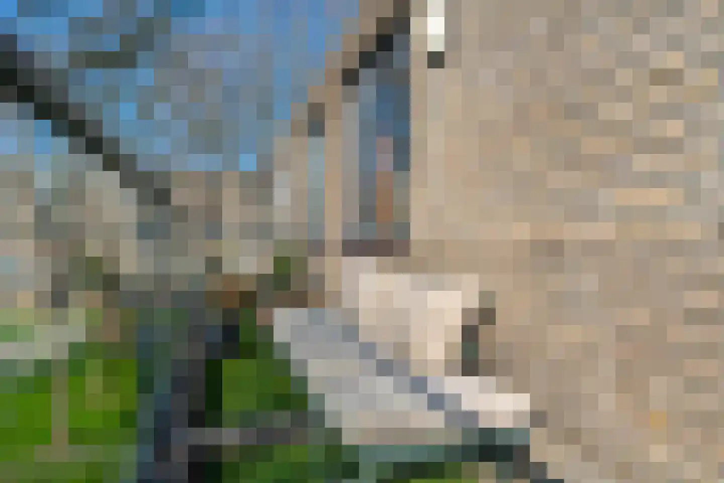 Henegouwen 138 Utrecht thumbnail 12