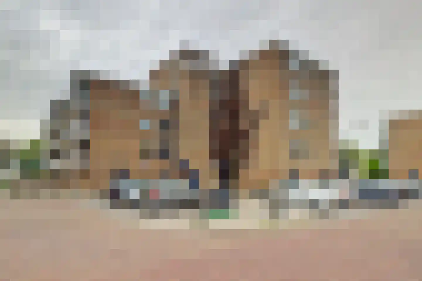 Henegouwen 14 Zwijndrecht thumbnail 35