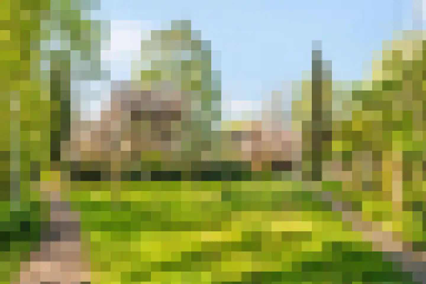 Henegouwen 36 Utrecht thumbnail 33