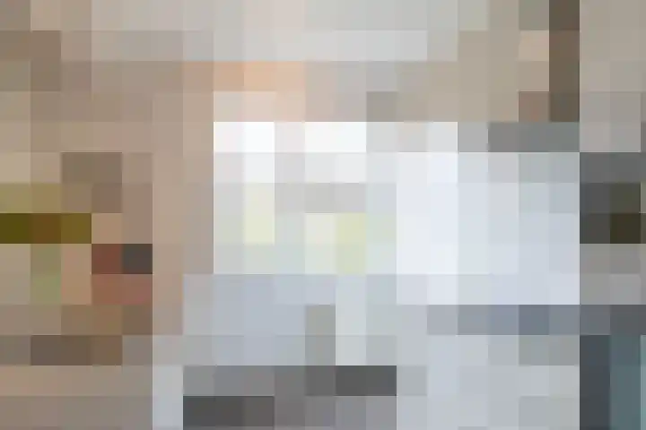 Henegouwen 4 Steenbergen thumbnail 17