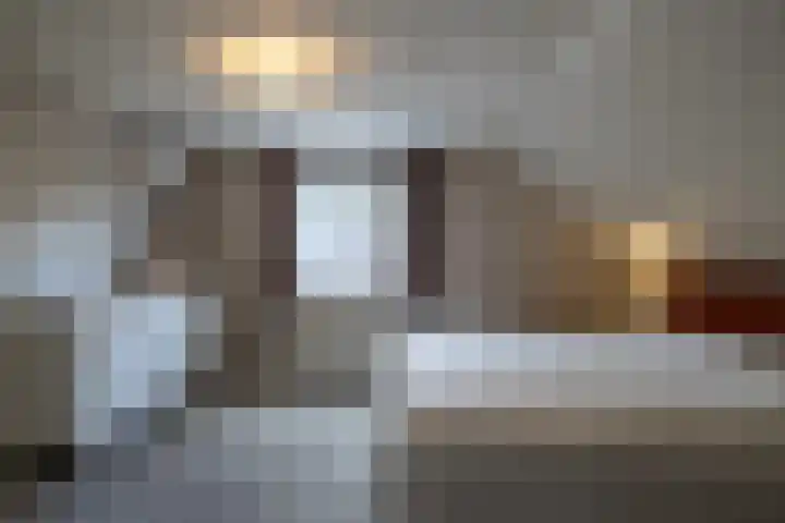 Henegouwen 4 Steenbergen thumbnail 31