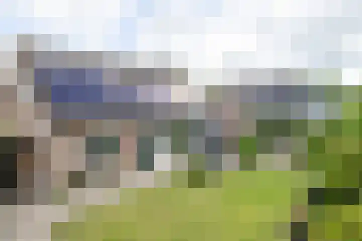 Henegouwen 4 Steenbergen thumbnail 35