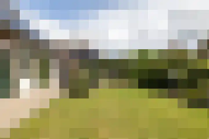 Henegouwen 4 Steenbergen thumbnail 37