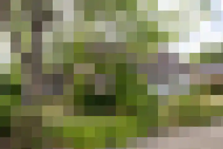 Henegouwen 4 Steenbergen thumbnail 4