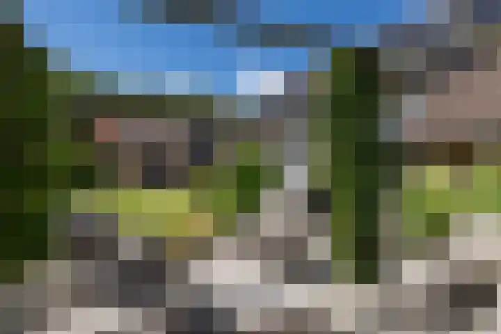 Henegouwen 4 Steenbergen thumbnail 43