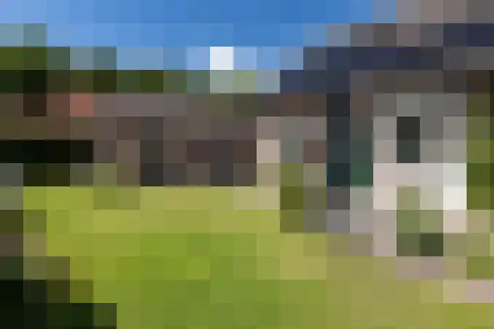 Henegouwen 4 Steenbergen thumbnail 44