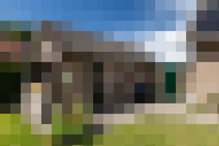 Henegouwen 4 Steenbergen thumbnail 46