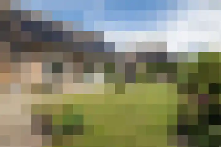 Henegouwen 4 Steenbergen thumbnail 47