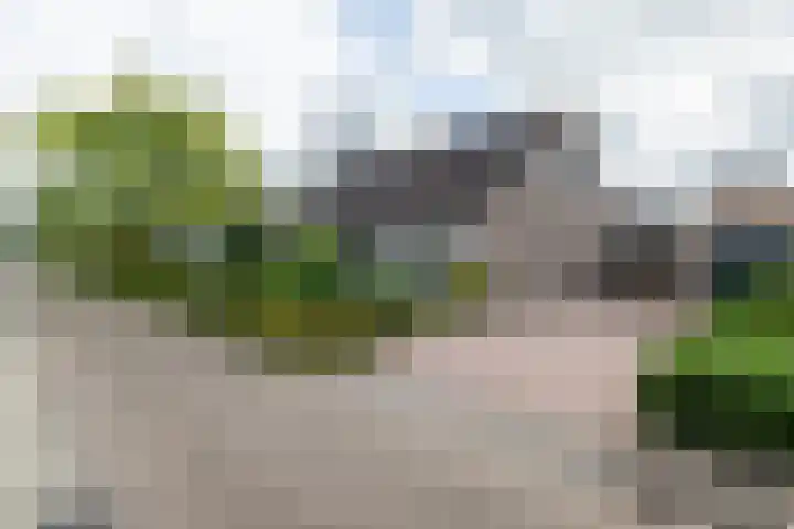 Henegouwen 4 Steenbergen thumbnail 50