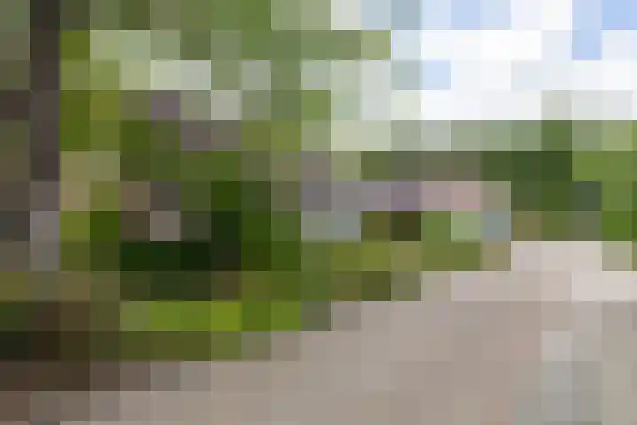 Henegouwen 4 Steenbergen thumbnail 53