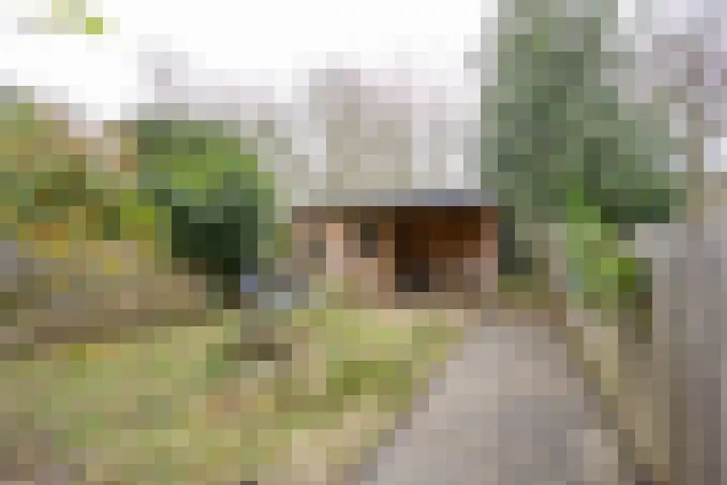 Henegouwen 43 Leusden thumbnail 32