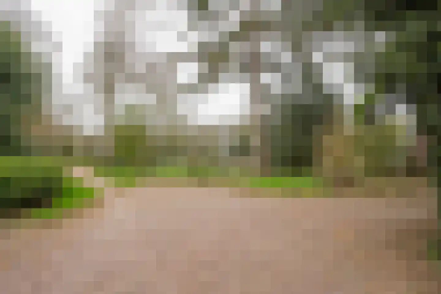 Henegouwen 43 Leusden thumbnail 37