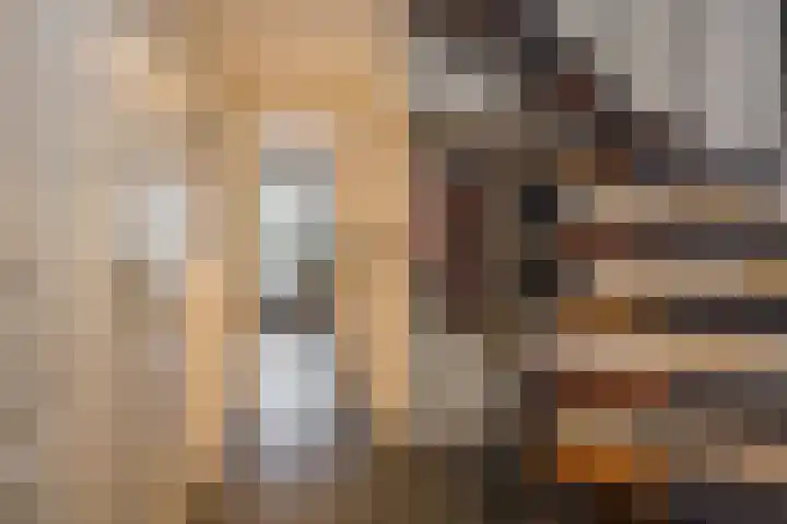 Henegouwen 43 Leusden thumbnail 4
