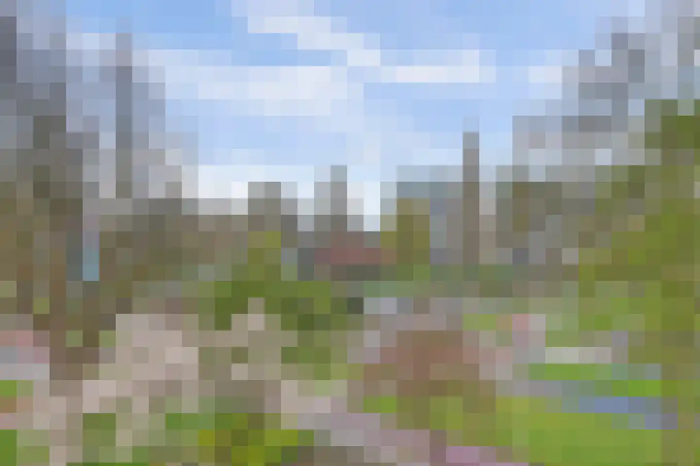 Henegouwen 67 Zwijndrecht thumbnail 27