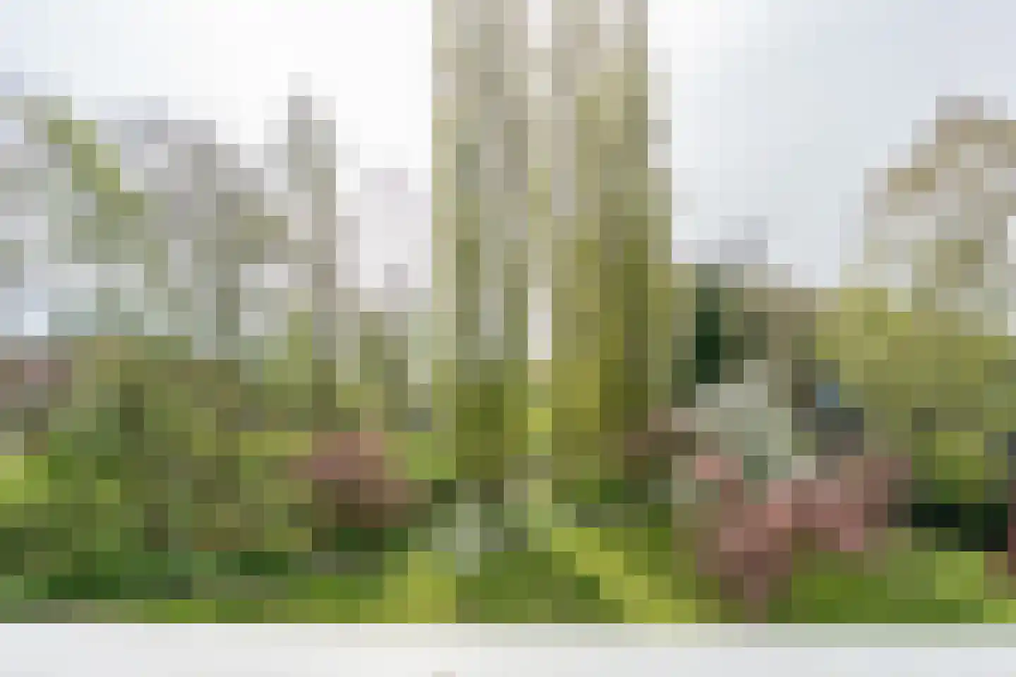 Henegouwen 72 Utrecht thumbnail 16