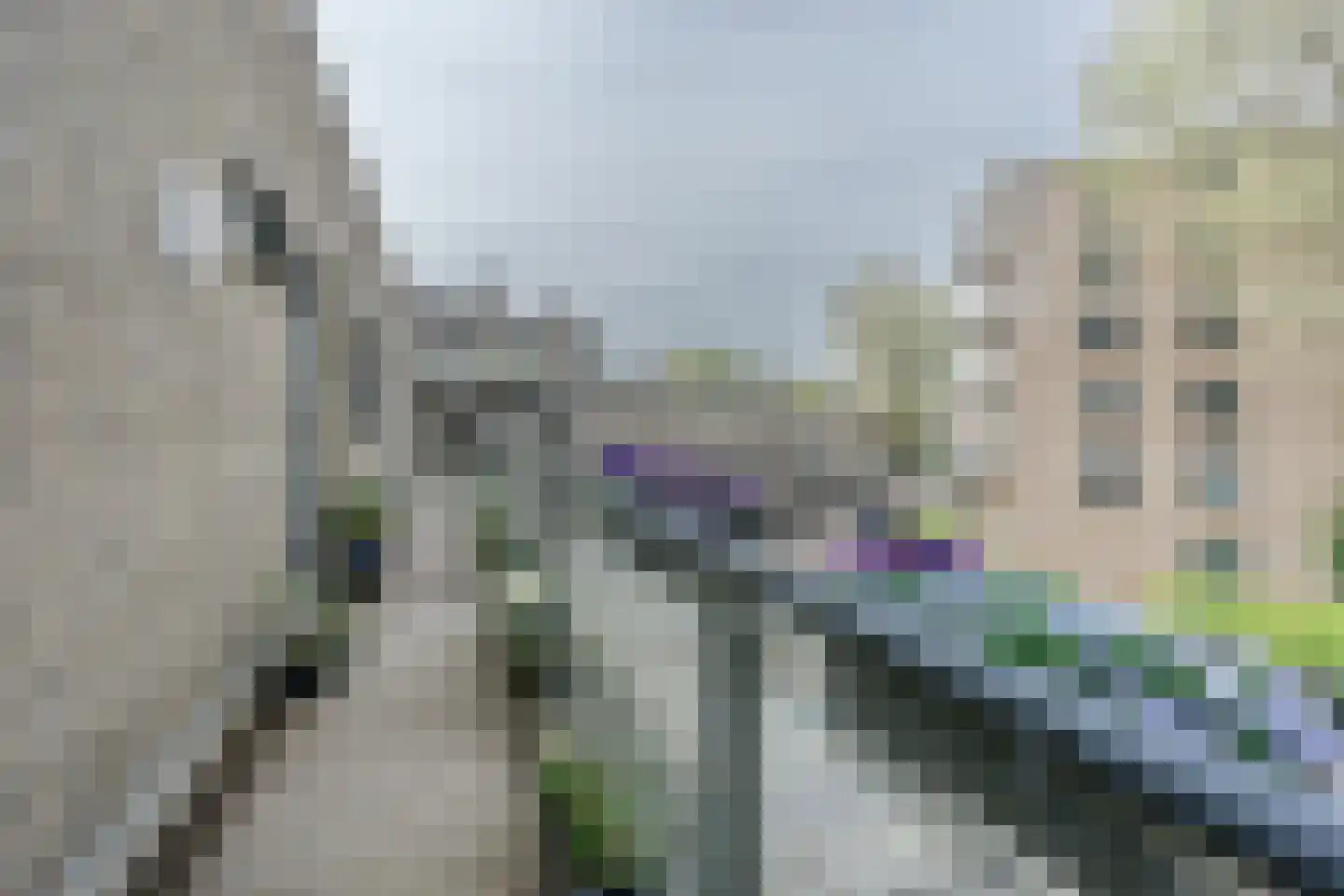 Henegouwen 72 Utrecht thumbnail 7