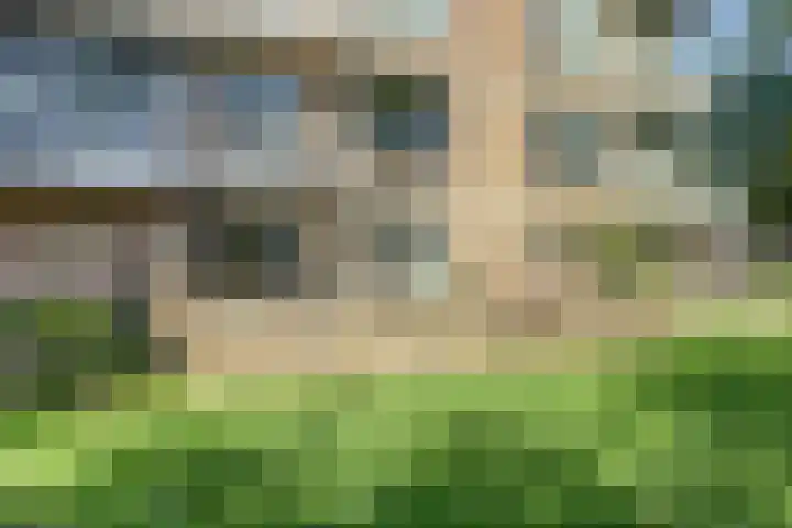 Henegouwen 79 Zwijndrecht thumbnail 33