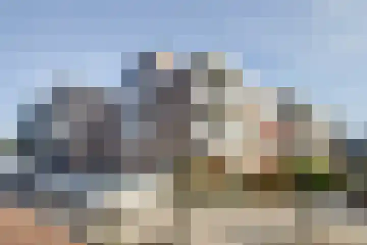Henegouwen 79 Zwijndrecht thumbnail 38