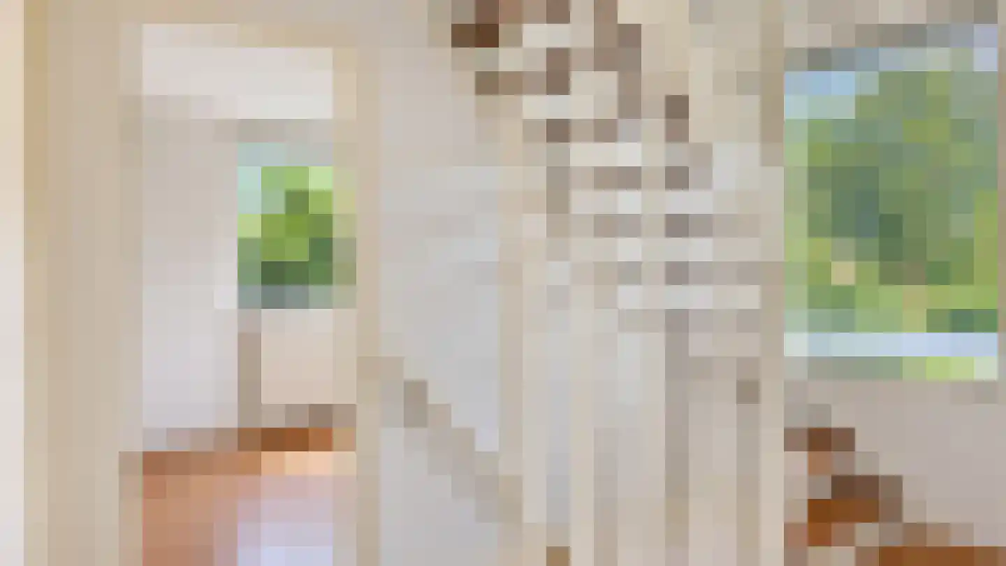 Henegouwenlaan 16 Etten-Leur thumbnail 32